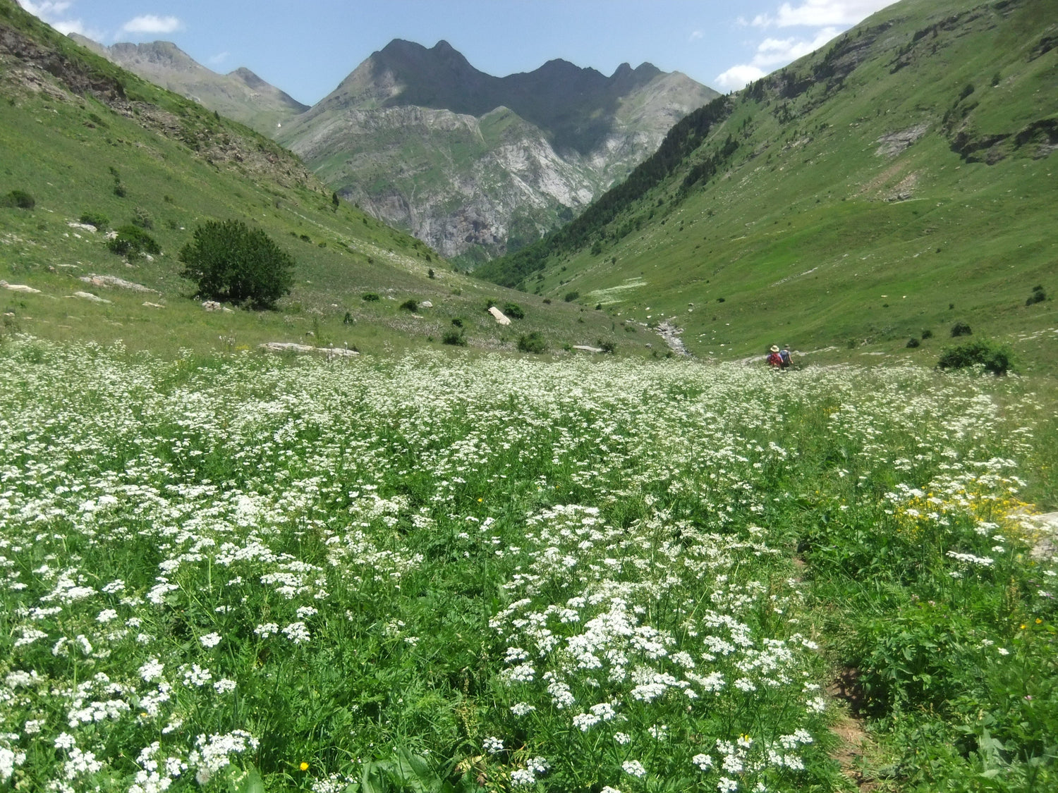 Bespoke trekking holidays in the Spanish Pyrenees