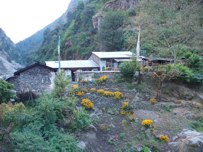 Langtang Valley tea house trek