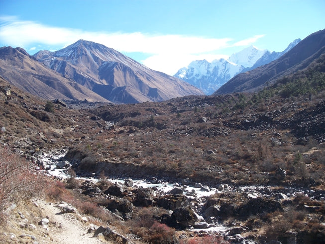 Langtang Valley tea house trek
