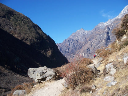 Langtang Valley tea house trek