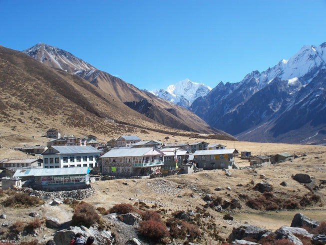 Langtang Valley tea house trek