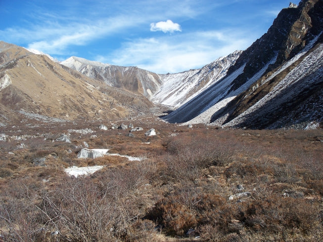 Langtang Valley tea house trek
