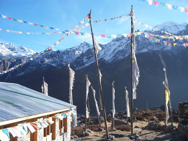 Langtang Valley tea house trek