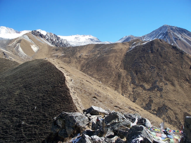 Langtang Valley tea house trek