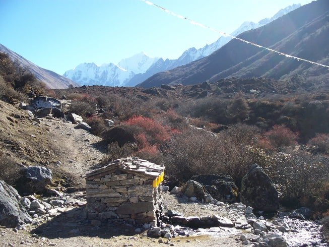 Langtang Valley tea house trek