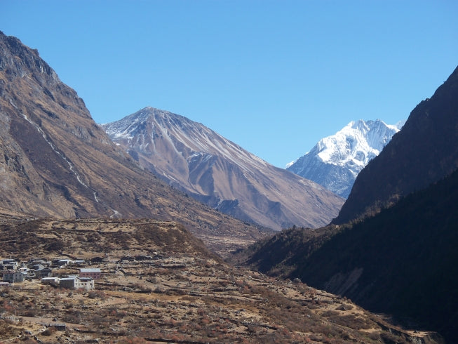 Langtang Valley tea house trek