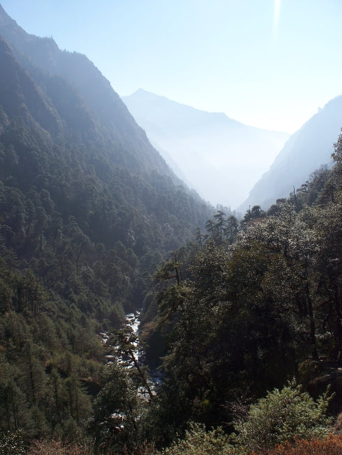 Langtang Valley tea house trek
